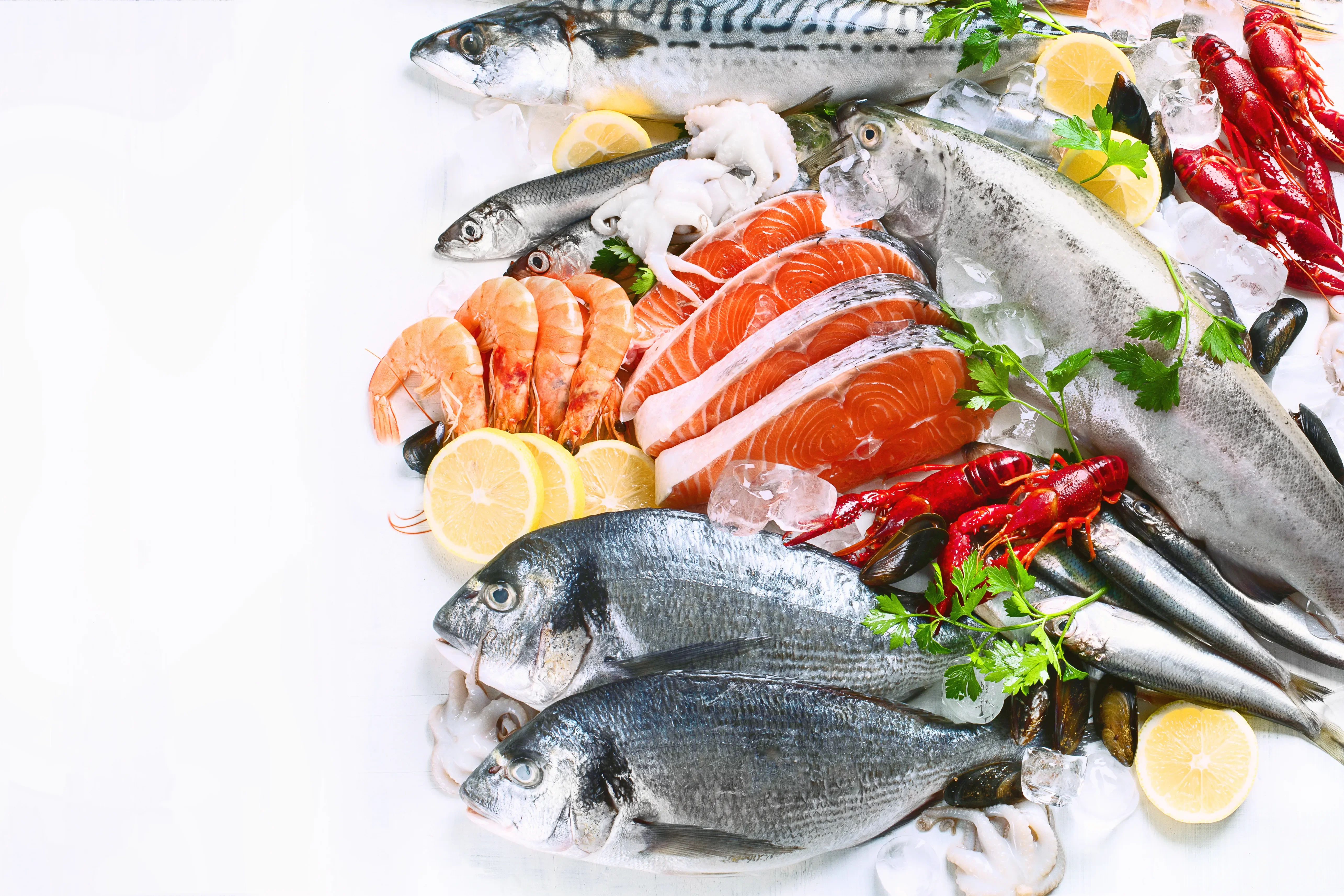 Historia Cynthia Seafood 1